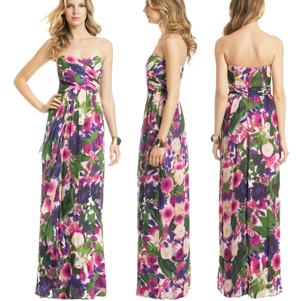 Nicole Miller Yuyuan Garden Maxi Size 2